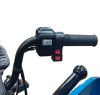 Грузовой электротрицикл FUDUDU M1 60V40Ah