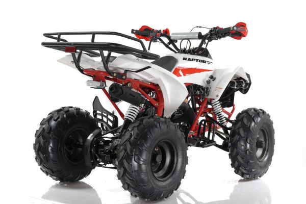 MOTAX ATV Raptor Super LUX 125 Бензиновый Красный 
