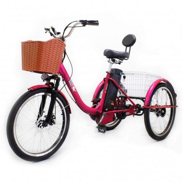 Электровелосипед GreenCamel Трайк-B (R24 500W 48V 20Ah) красный
