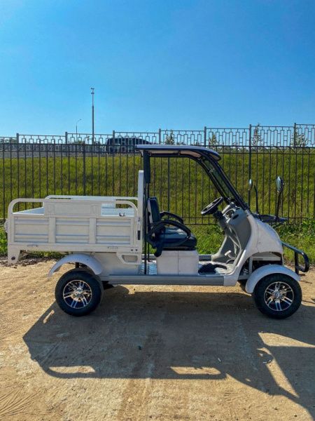 Гольфкар GreenCamel A2C 52Ah (2+Cargo 2500W 225/40-10' литые)