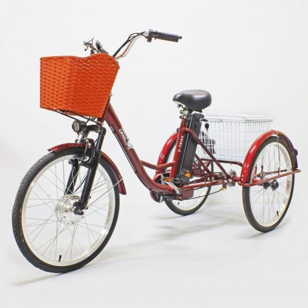 Электровелосипед GreenCamel Трайк-24 (R24 500W 48V 10Ah) красный