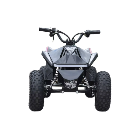 Электроквадроцикл Skyboard CyberTruck Sochi Power 1000W (дифференциальный редуктор)