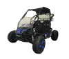 Багги SCANMOTO RAPID II